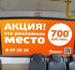 Оклейка заднего стекла